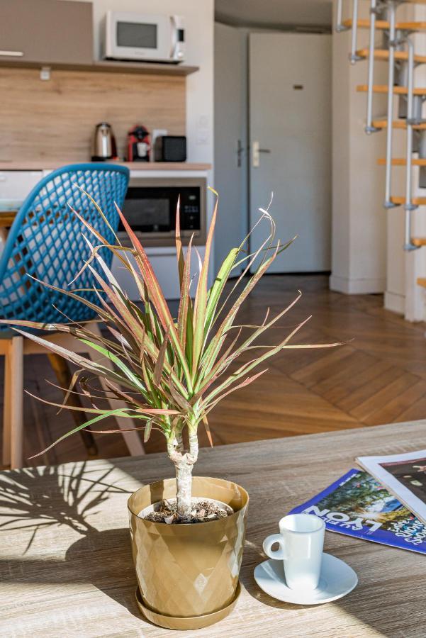 Le Royale Haussmann 4 Places Loft Canut Lyon Exterior photo